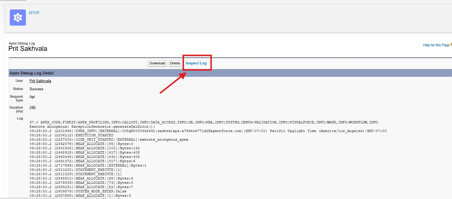 Salesforce Debug Log Detail Mockup