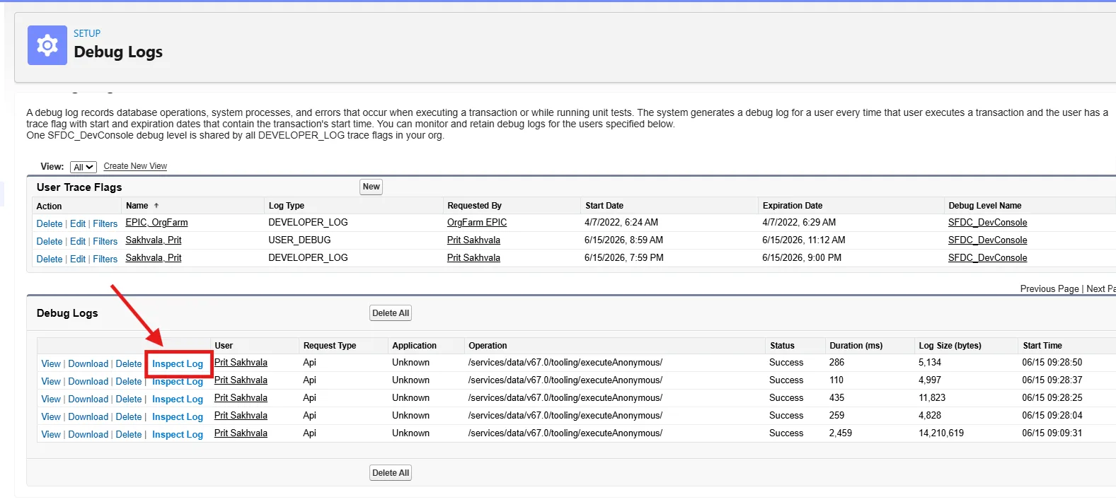 Salesforce Debug Logs List Mockup